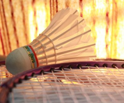 badminton-166404_1280