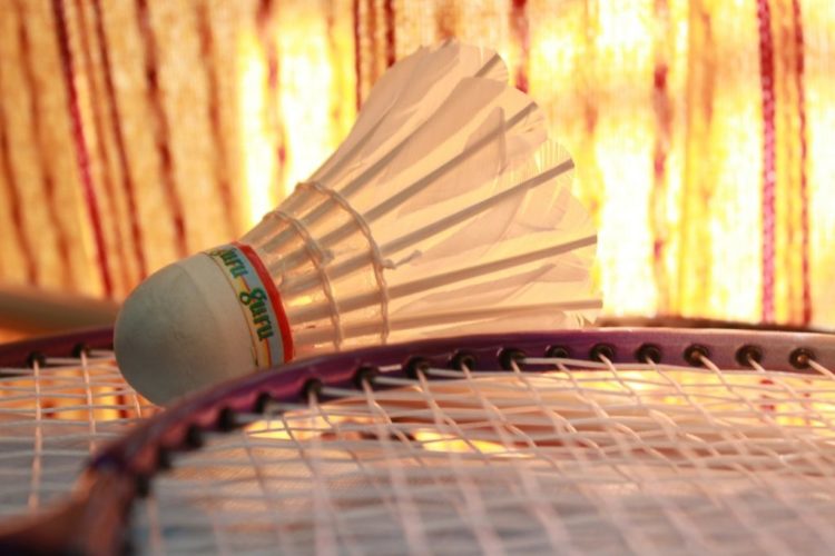 badminton-166404_1280