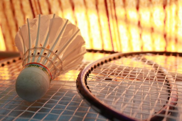 badminton-166405_1280