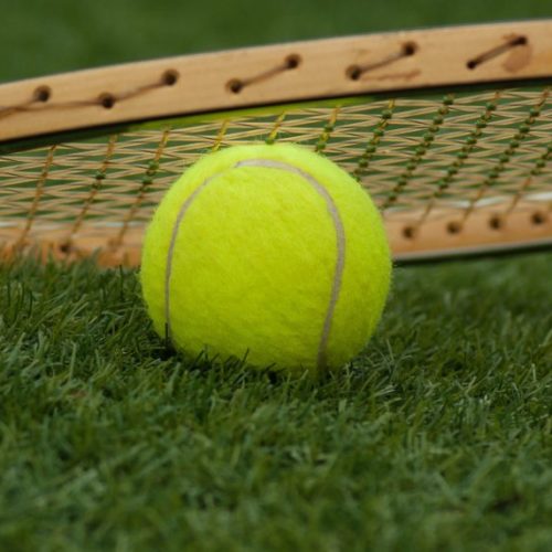 tennis ball 1162631